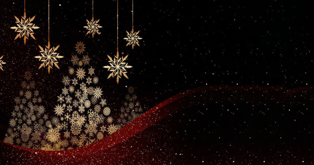 Mitgliederbrief 2024_2