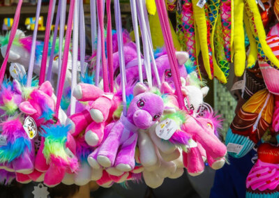 Mitgliederbrief 2025_1