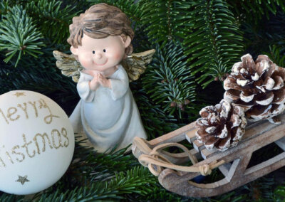 Mitgliederbrief 2025_2