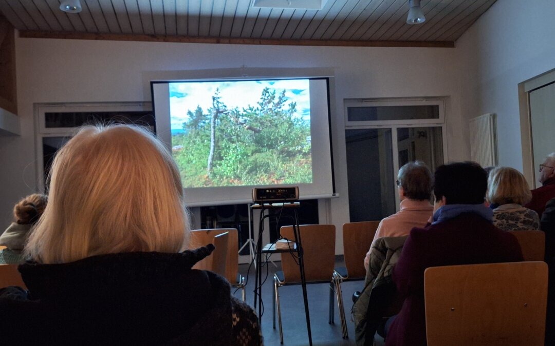 Wandern auf dem Kungsleden (Königspfad) in Schwedisch Lappland 2.Teil