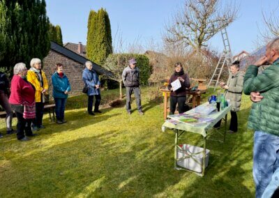 Wie schneide ich Hecken und Bäume in meinem Garten?