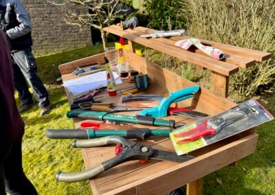 Wie schneide ich Hecken und Bäume in meinem Garten?