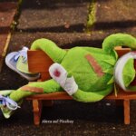 Erste Hilfe im Notfall