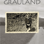 Buchcover Grauland von Wolfgang Kaes