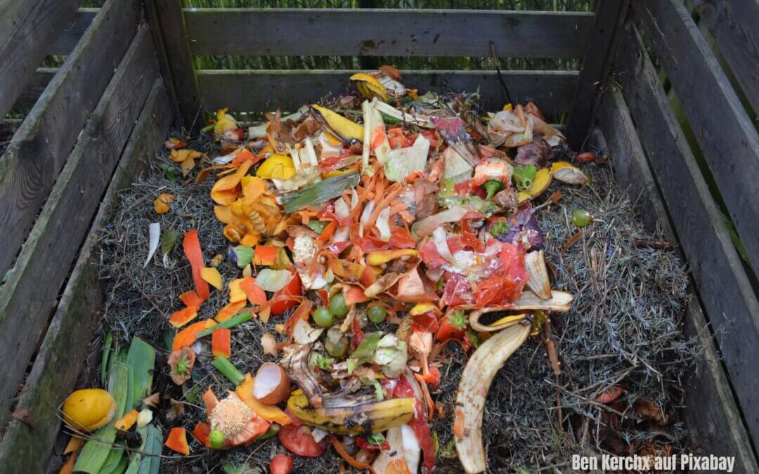 Einladung zum Gartengespräch mit Daniela Zenzen